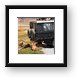A pride of lions and cubs resting in the shade of the vehicle Framed Print