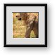 Buy Framed Print