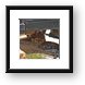 Lion cubs resting in the shade Framed Print