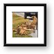 Family of lions Framed Print