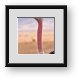Buy Framed Print