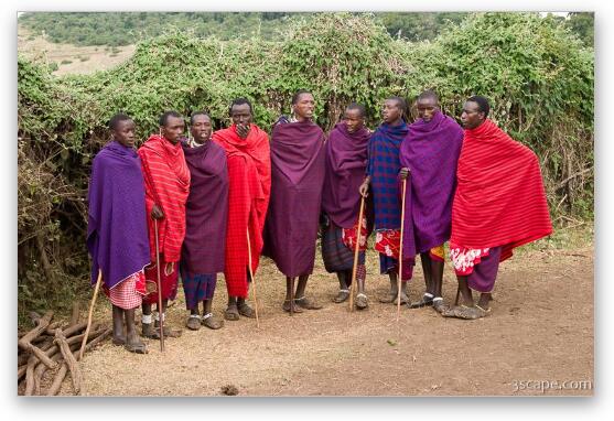 Group of Maasai men prepping for a welcome song and dance Fine Art Metal Print