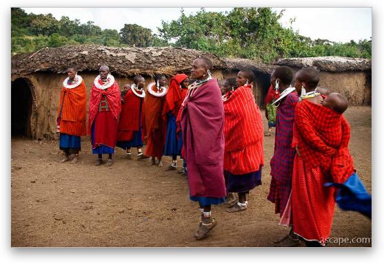 Group of Maasai women welcoming us to their village Fine Art Metal Print