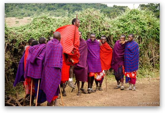 Maasai men performing a welcome dance Fine Art Metal Print
