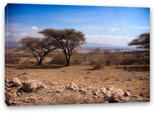 Serengeti terrain changes Fine Art Canvas Print