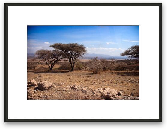 Serengeti terrain changes Framed Fine Art Print
