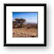 Serengeti terrain changes Framed Print