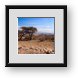 Buy Framed Print