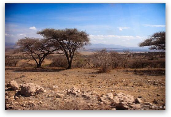 Serengeti terrain changes Fine Art Print