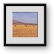 Buy Framed Print