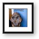 Reconstructed skull discovered in Oldupai Gorge Framed Print