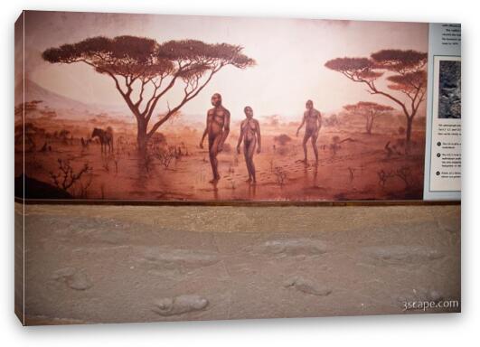 First known humans to walk the earth Fine Art Canvas Print