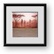 Buy Framed Print