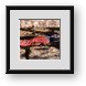 Buy Framed Print