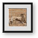 Buy Framed Print