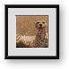 Buy Framed Print