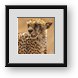 Buy Framed Print