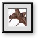 Buy Framed Print