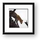 Leopard on the move Framed Print