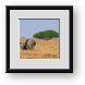 Buy Framed Print