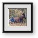 Buy Framed Print