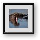 Buy Framed Print