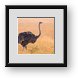 Buy Framed Print