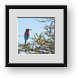 Buy Framed Print