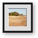 Buy Framed Print
