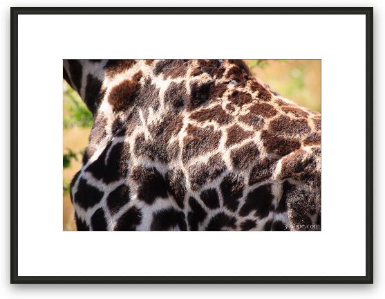 Giraffe spots Framed Fine Art Print