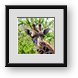 Buy Framed Print