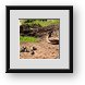 Buy Framed Print