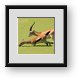 Buy Framed Print
