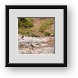 Buy Framed Print