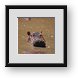 Buy Framed Print