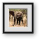 Buy Framed Print