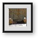 Buy Framed Print