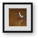 Buy Framed Print
