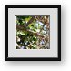 Buy Framed Print