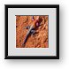 Buy Framed Print