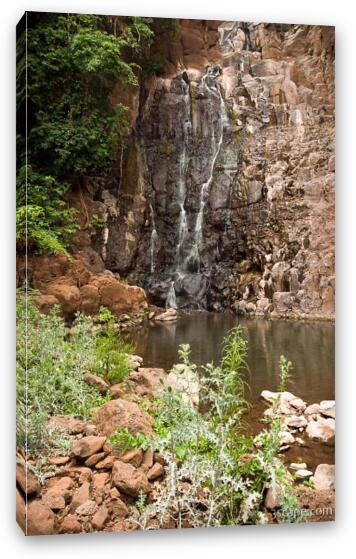 Waterfall at the end of our hike through banana groves Fine Art Canvas Print