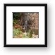Waterfall at the end of our hike through banana groves Framed Print