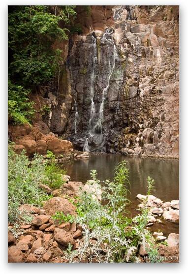 Waterfall at the end of our hike through banana groves Fine Art Metal Print