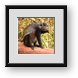 Buy Framed Print