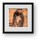 Buy Framed Print