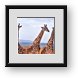 Buy Framed Print