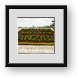 Buy Framed Print