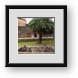 Buy Framed Print
