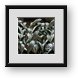 Buy Framed Print