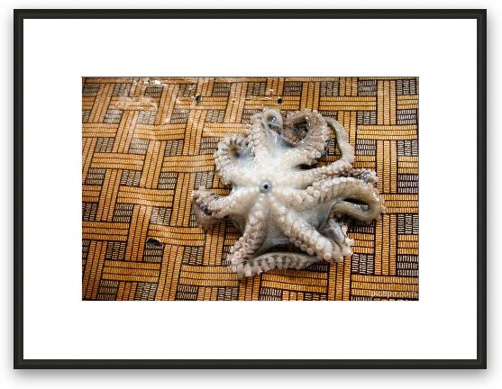 Fresh Octopus at the Market Framed Fine Art Print